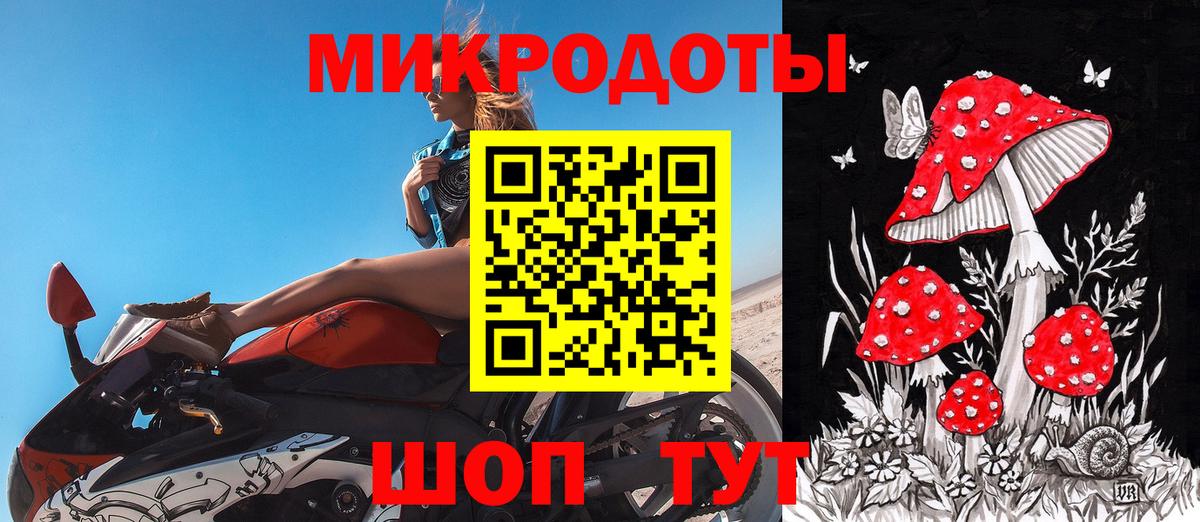 Галлюциногенные грибы Psilocybine cubensis Лыткарино