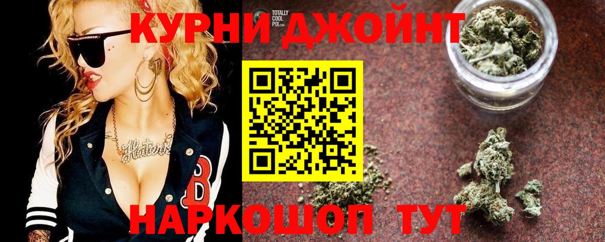Конопля гибрид Лыткарино